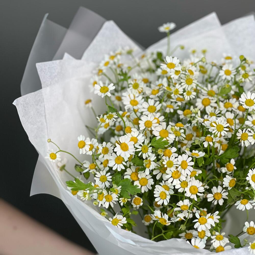 https://content2.flowwow-images.com/data/flowers/1000x1000/90/1680762704_55560490.jpg
